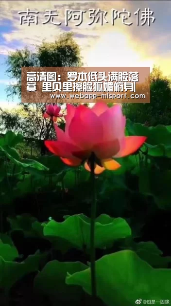 米兰体育app下载