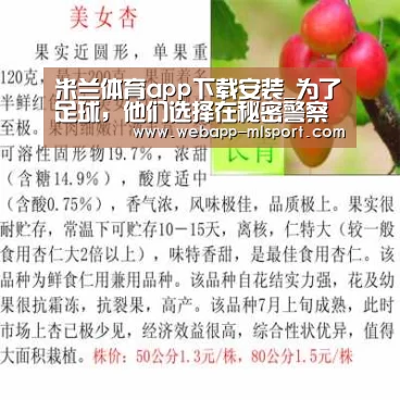 米兰体育app下载安装_为了足球,他们选择在秘密警察的枪口下逃亡(图2) 米兰体育app下载安装