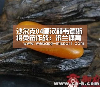 米兰体育app网址