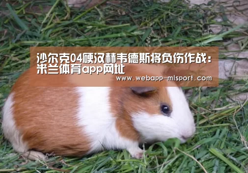 米兰体育app官网