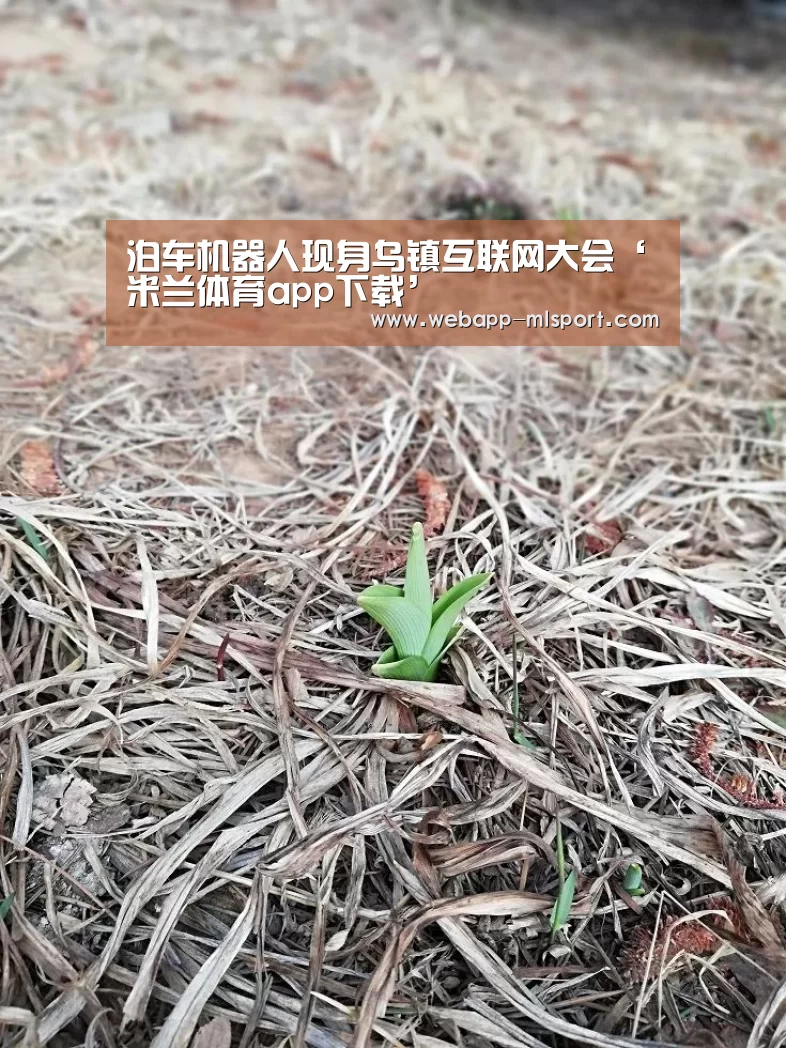 米兰体育app下载